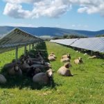 Proyecto Agrivoltaica Espana