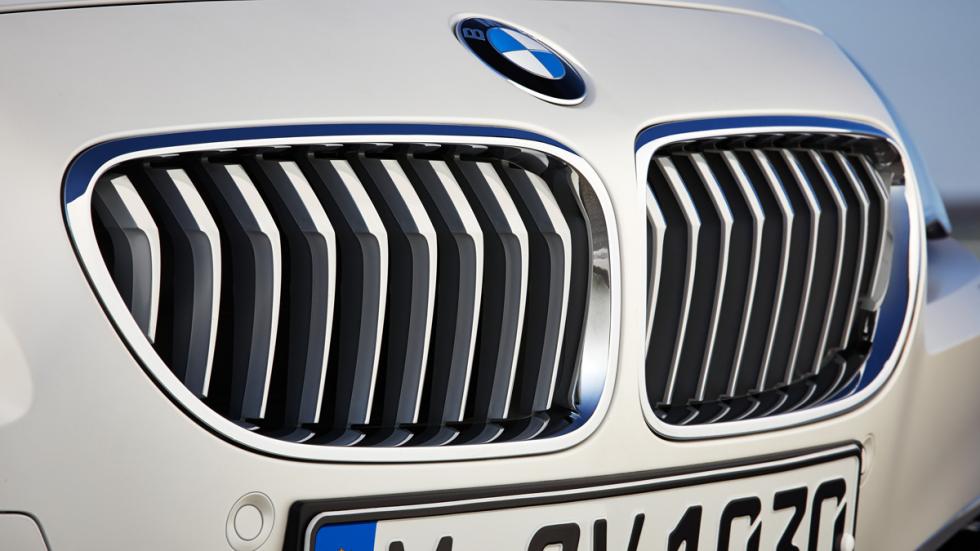 Riñones característicos de los BMW