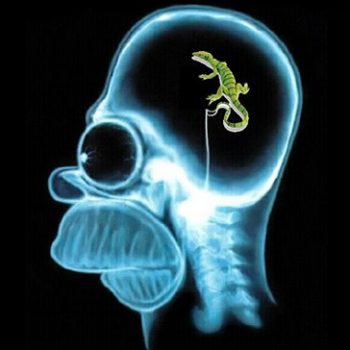 Cerebro Reptil - Fuente: www.marketingdirecto.com