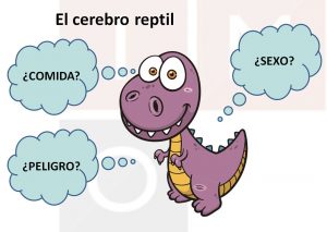 Cerebro reptiliano - Fuente: www.educacionline.com/instituto-de-marketing-online