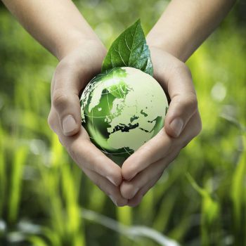 Del confinamiento por coronavirus al resurgir de la naturaleza