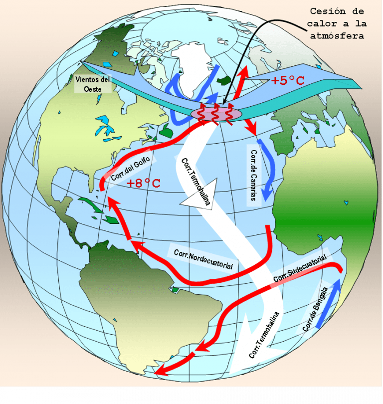 Circulación global de la corriente termohalina